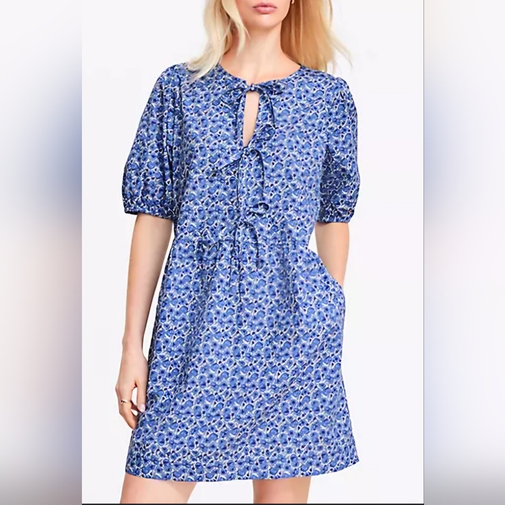 LOFT Blue and White Floral Dress